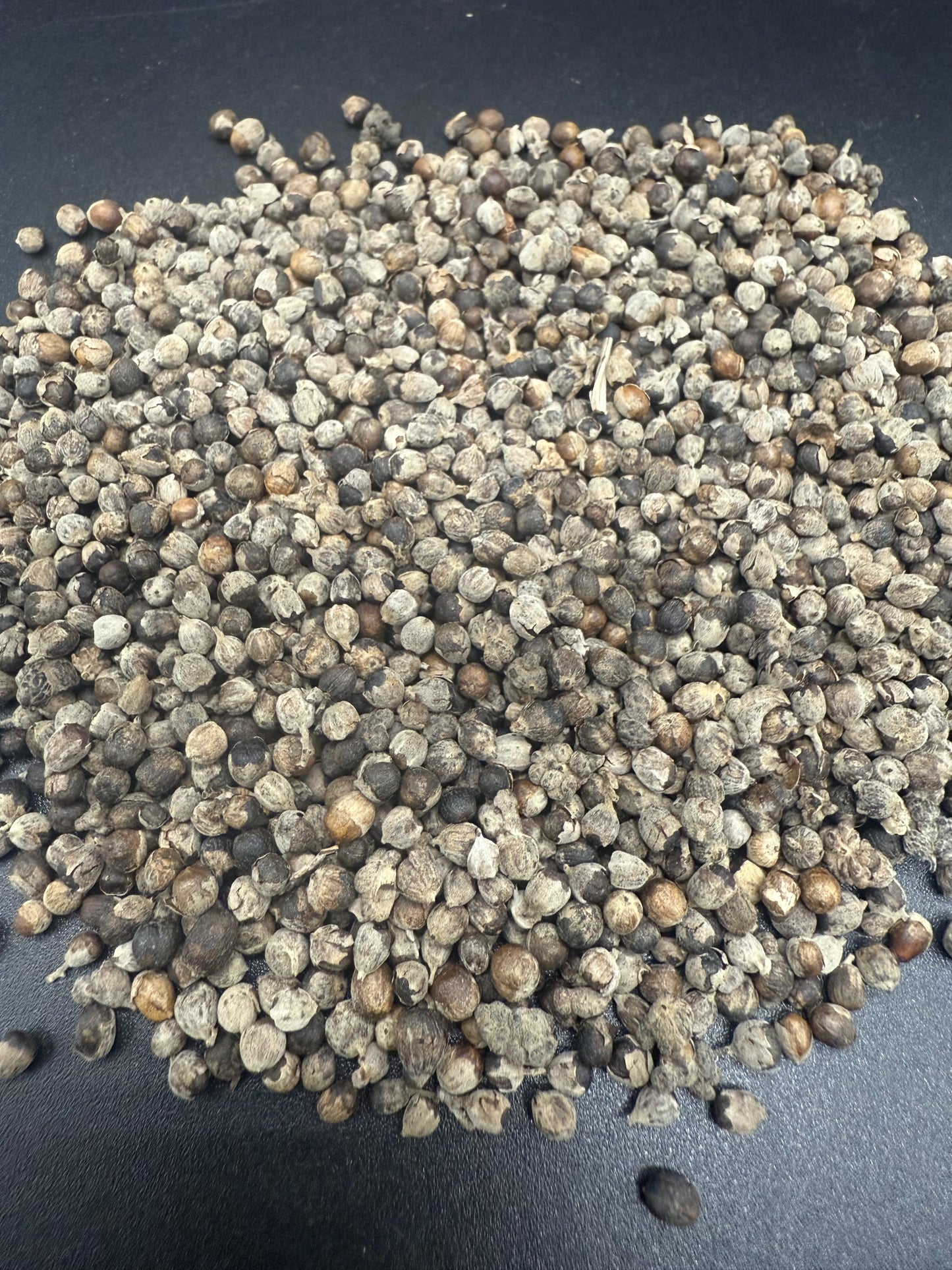 Baya del árbol casto