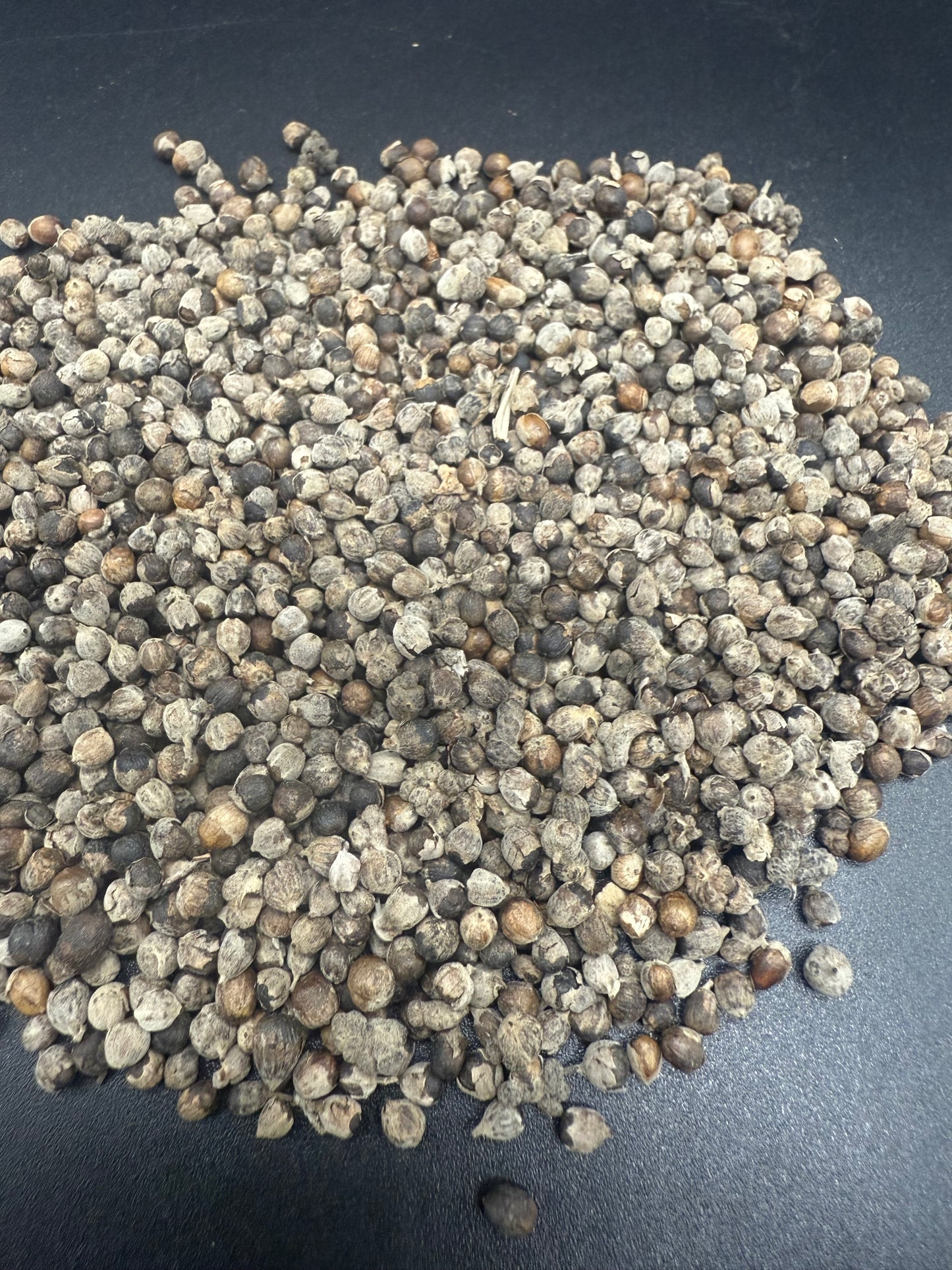 Baya del árbol casto