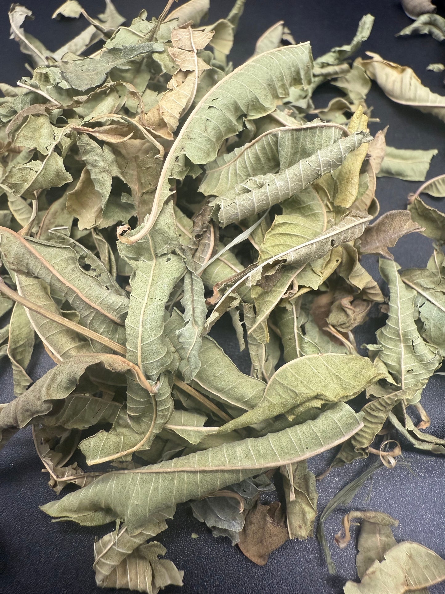 Lemon Verbena
