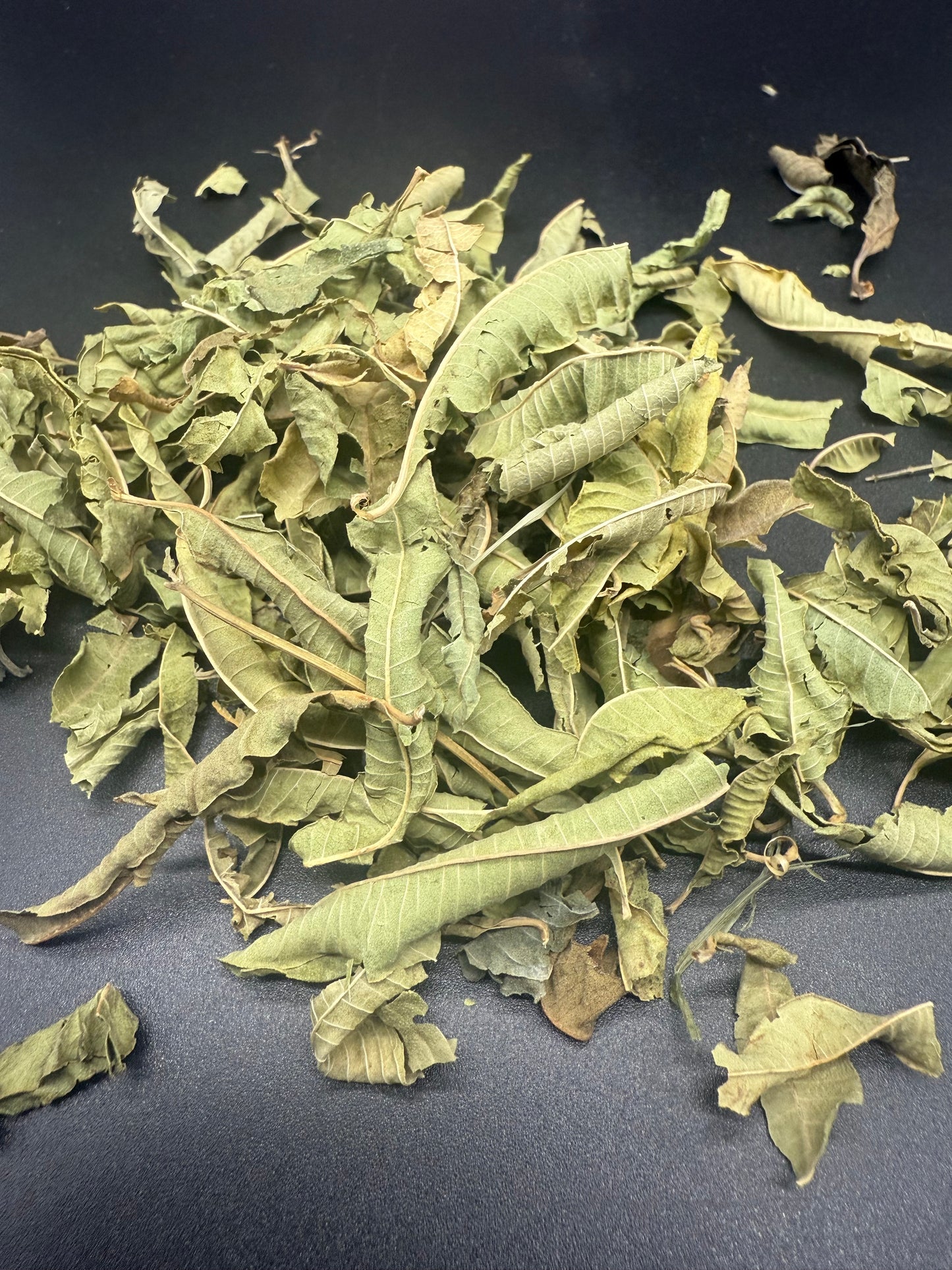 Lemon Verbena