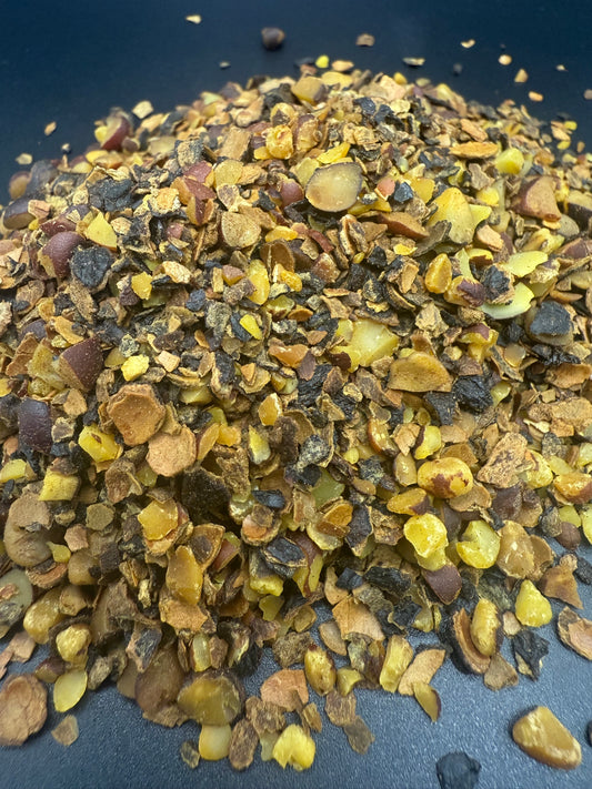 palma enana americana