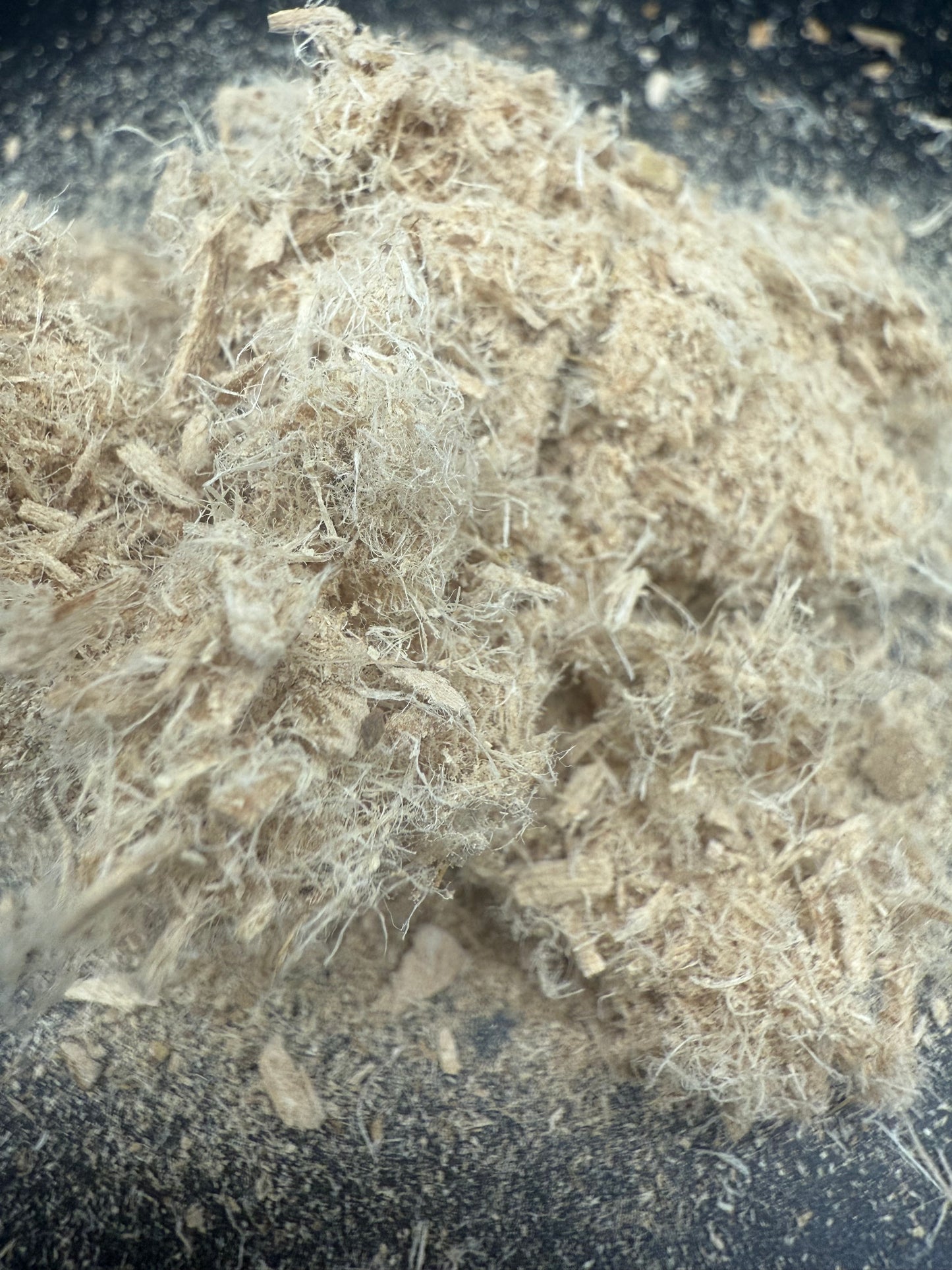 Corteza de olmo resbaladizo