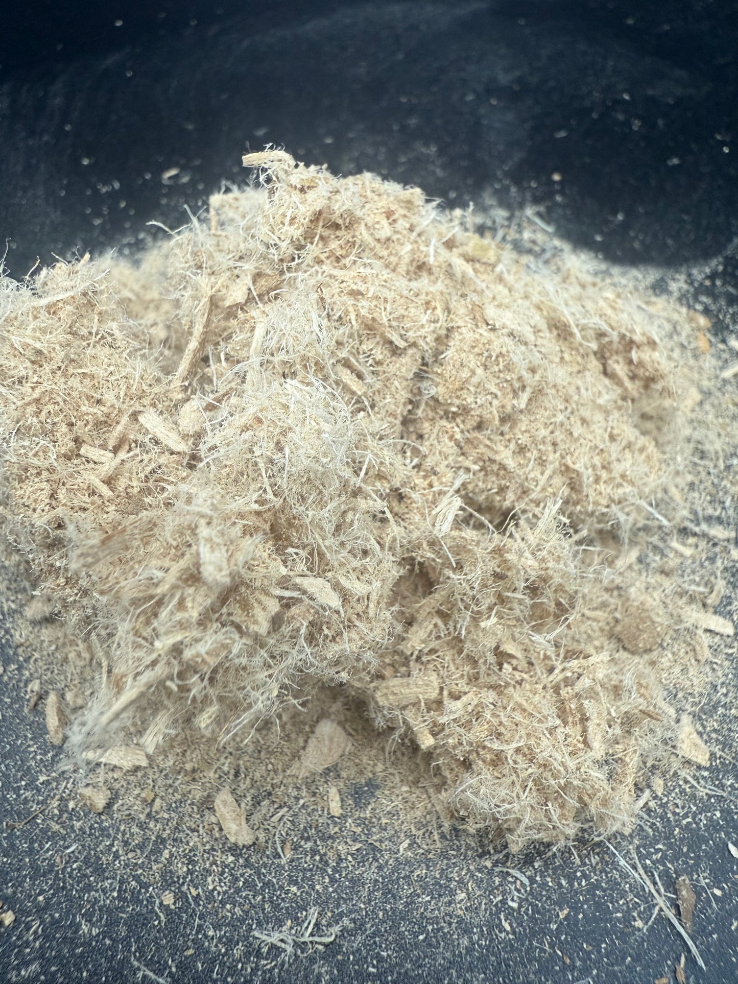 Corteza de olmo resbaladizo