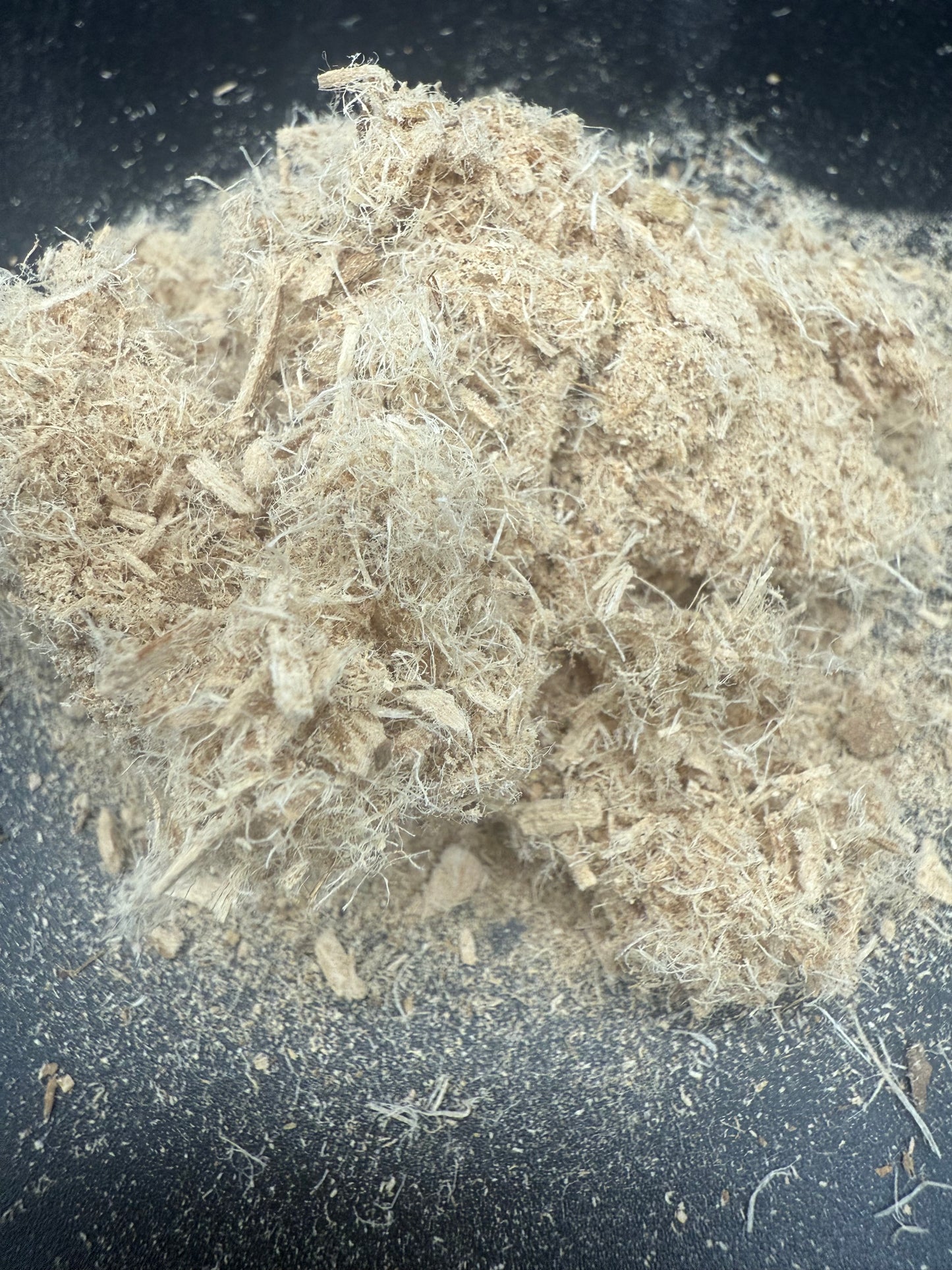 Corteza de olmo resbaladizo