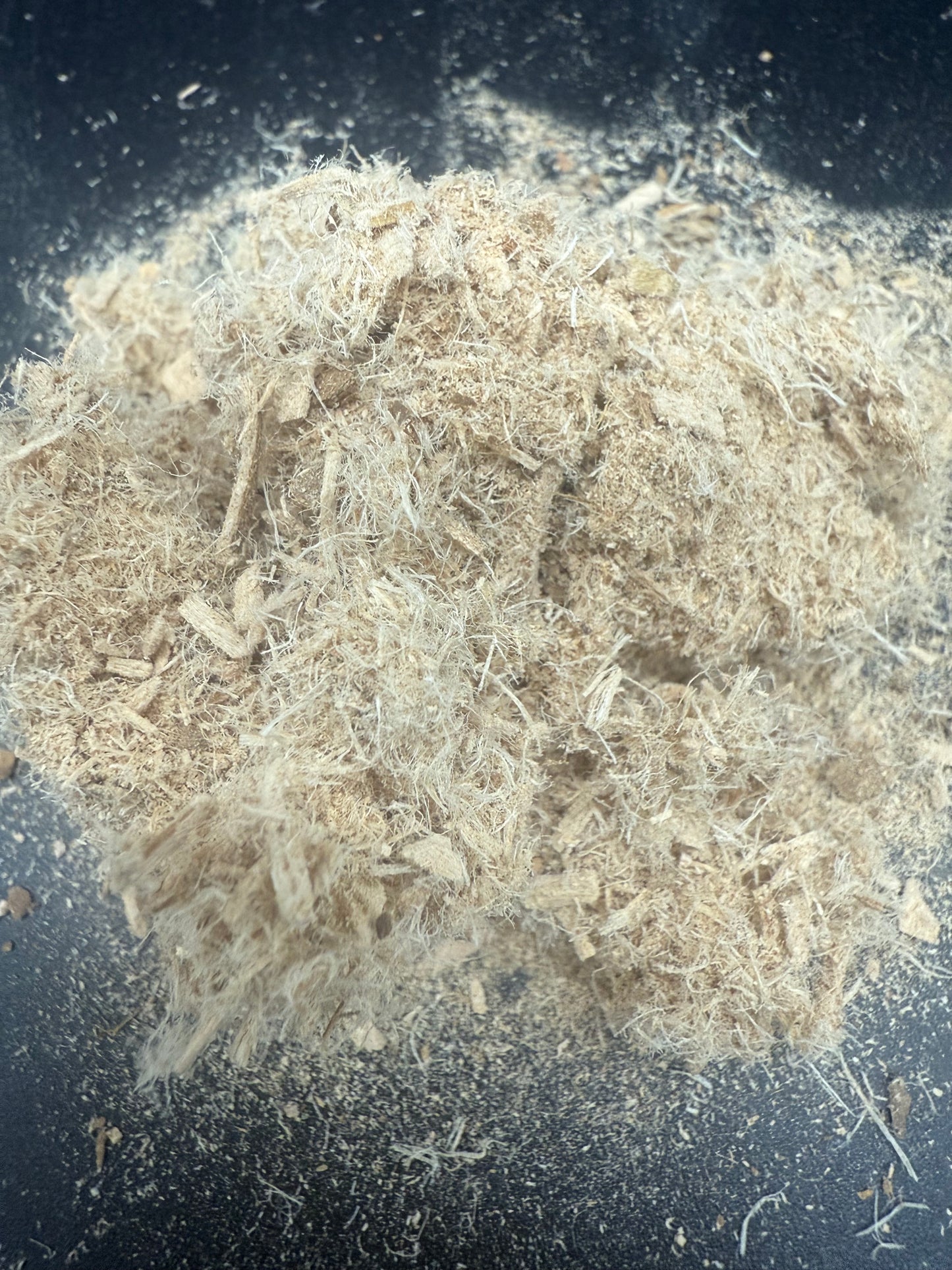 Corteza de olmo resbaladizo