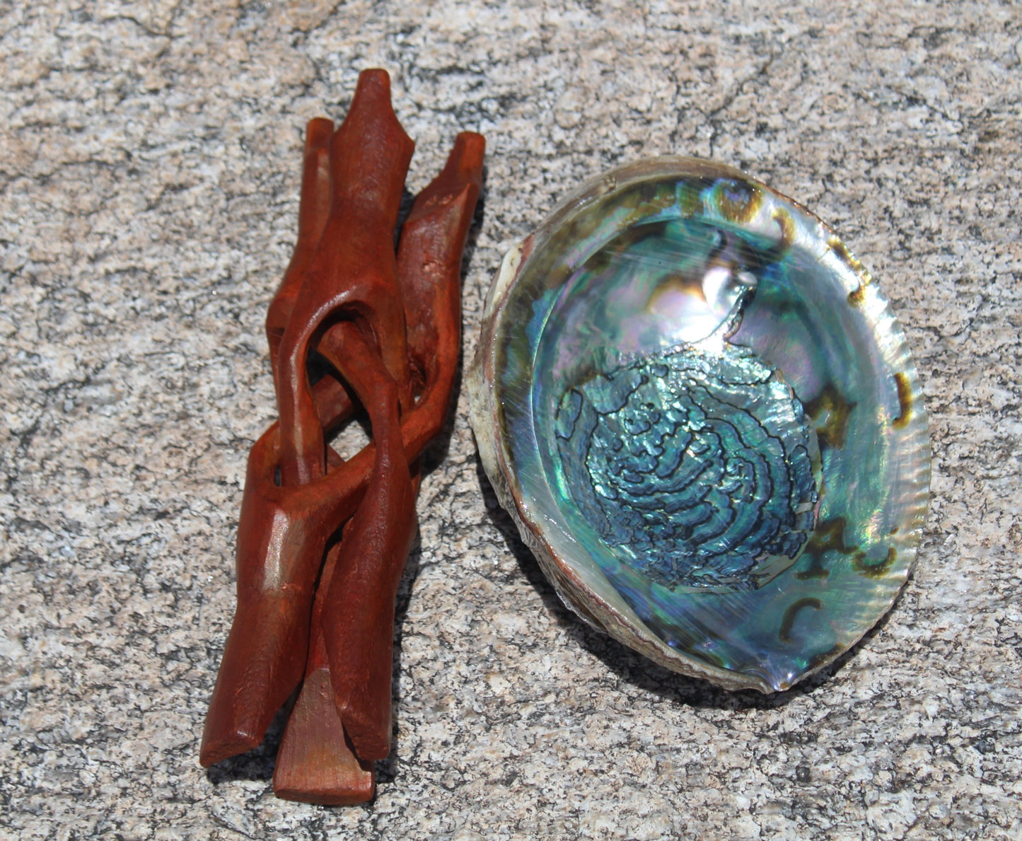 Paquete de concha de abulón con soporte