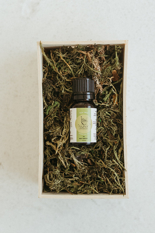 Aceite de árbol de té