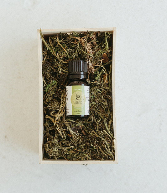 Aceite de árbol de té