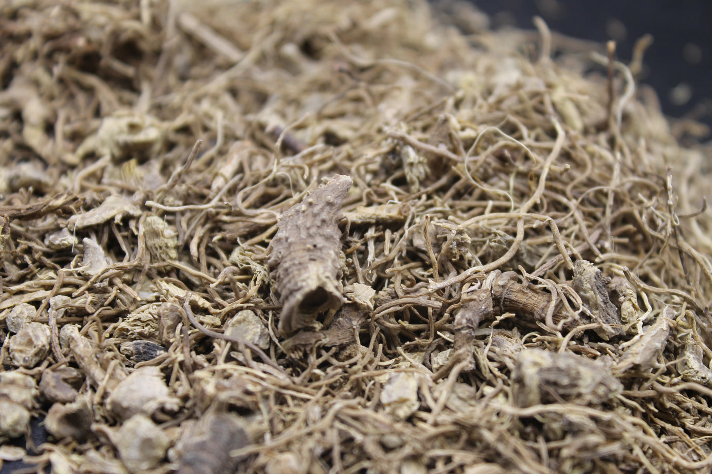 Blue Cohosh