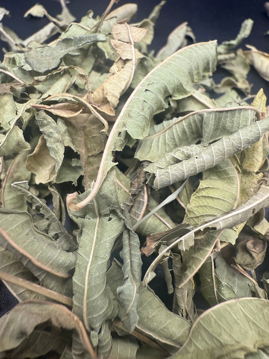 Lemon Verbena
