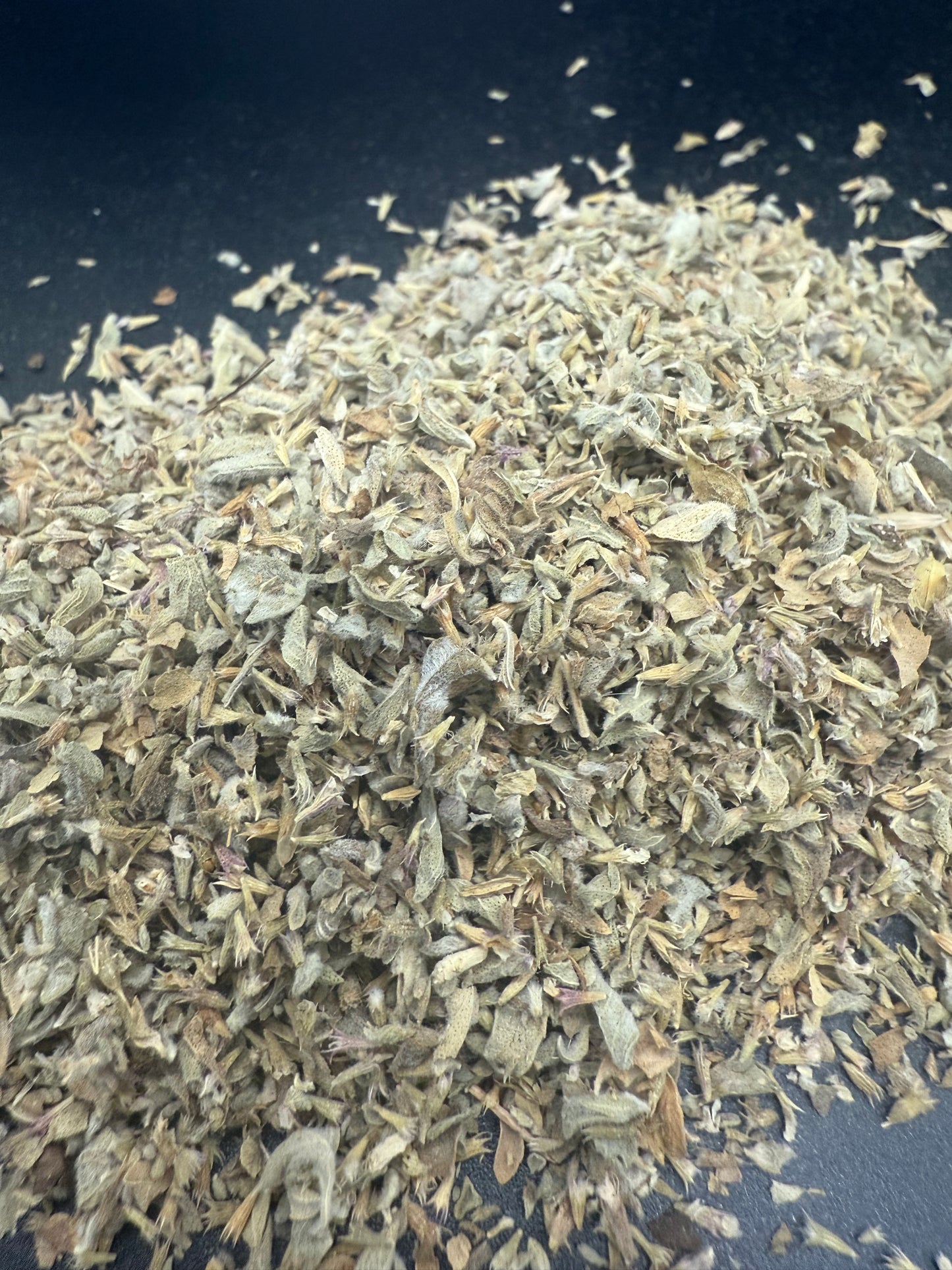 Pennyroyal