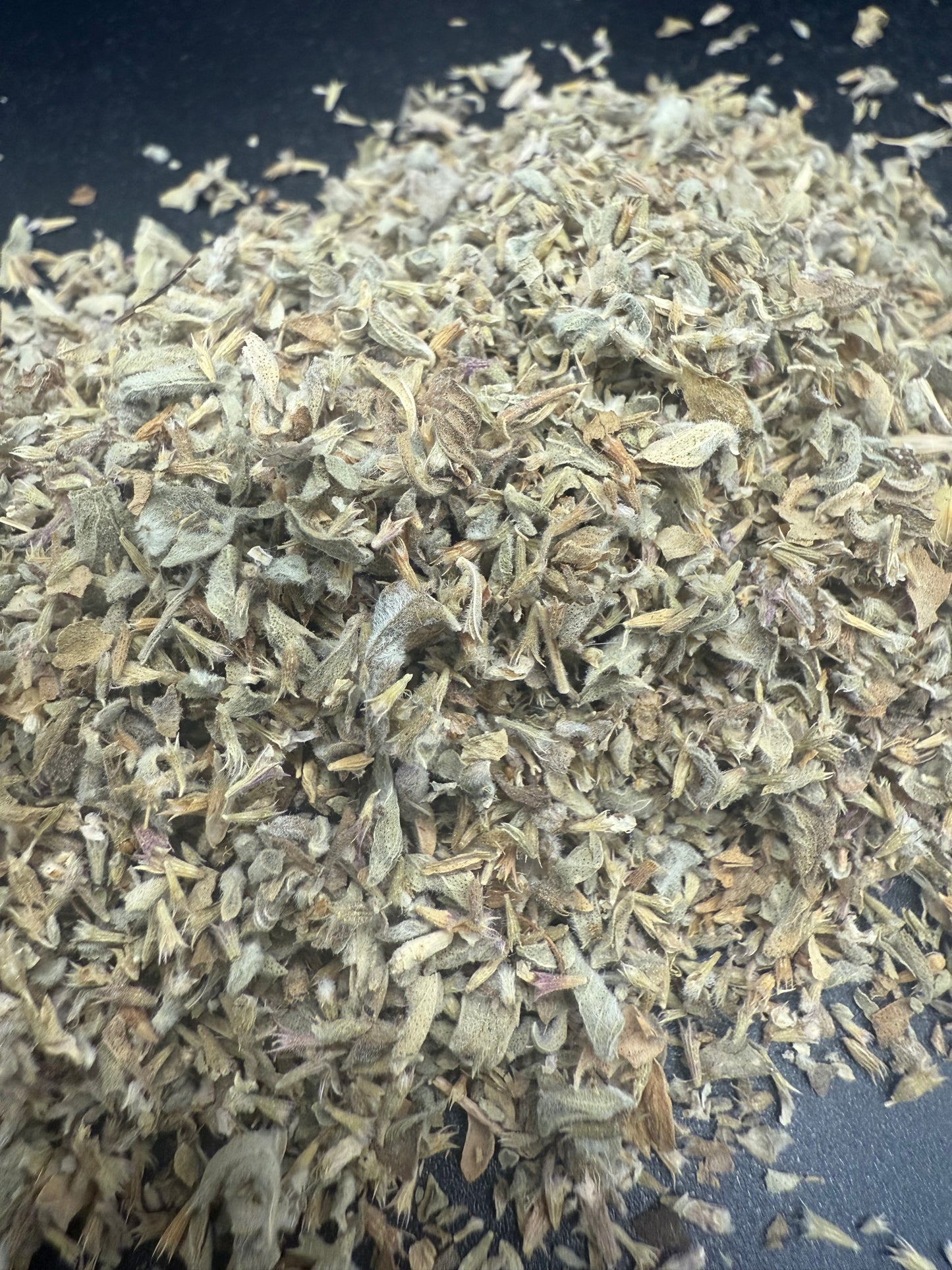 Pennyroyal