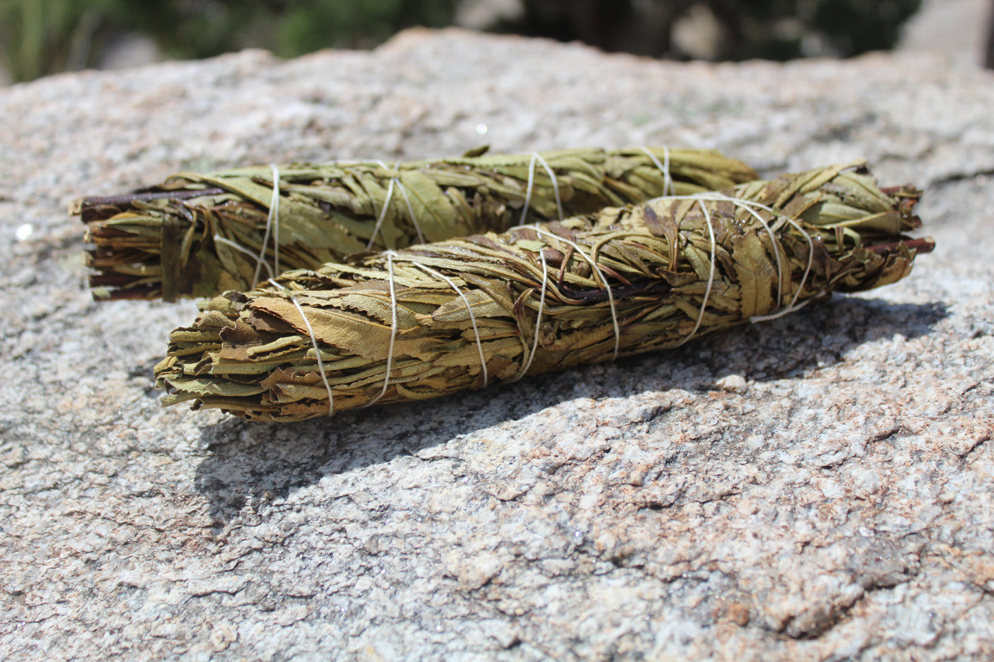 Yerba Santa